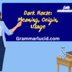 Dark Horse: Meaning, Origin, and Examples